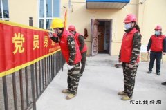 黑龙江兴凯湖电业公司：“党建+春检”筑牢供电安全防护网