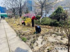 陕煤陕北矿业涌鑫公司：添绿抖尘  矿区处处展“新颜”