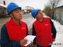 国网大兴安岭供电公司：雪后特巡 保电在行动