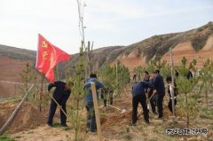 陕煤陕北矿业涌鑫公司：争做党史学习“领头雁”