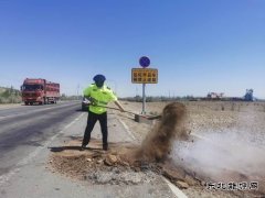 阿勒泰执法支队布尔津执法大队及时清理路面自燃物排除隐患