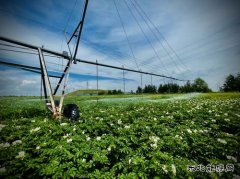 大唐呼伦贝尔完美体育公司顺兴煤矿生产惠及谢尔塔拉农场
