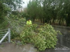 阿勒泰执法支队北屯执法大队暴雨中坚守岗位全力应对强降雨
