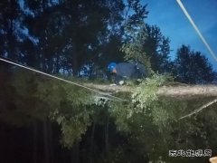 大兴安岭呼中区全线停电 国网8小时抢通