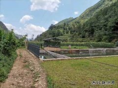 会泽供电局雨碌供电所有计划治理涉电公共安全隐患