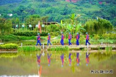  那些年、这些年，李庄的用电事儿……