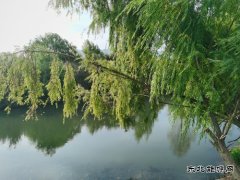 三元钱能买到什么？