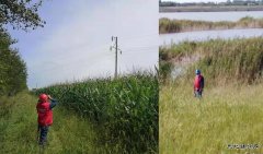 国网黑龙江大庆安达供电公司：艰难巡线路