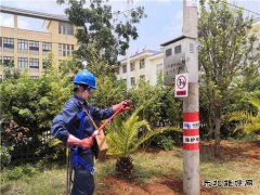 会泽供电局：金钟供电所开展保命教育培训提升业务技能