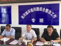 黑龙江勃利县县委副书记赵传贵深入双河镇检查环境综合网治理工作