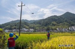 江西婺源：无人机为电力巡线插上“翅膀”