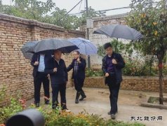 蒲白中心社区：以雨为令，防汛抢险进行时