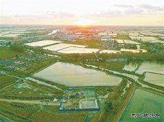 回拖成功 礼献国庆