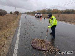 哈巴河执法大队：及时清理路面杂物 确保公路安全畅通