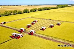 兴凯湖供电分公司：全力而为保秋收供电 确保粮食颗粒归仓