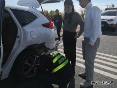 阿勒泰执法支队北屯执法大队国庆期间坚守岗位为游客保驾护航