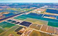 打造绿色发展新优势