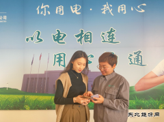 宝泉岭供电分公司：暖心推广“网上国网”APP 提升客户数字化
