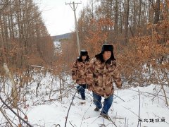 图片新闻：迎峰度冬巡查忙