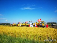 精心组织 高效推进