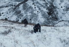 辽宁新完美体育事业部：暴风雪中全力保供