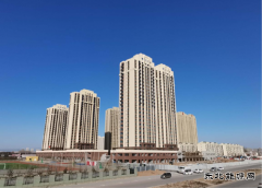 贵州老乡团队在异乡的特别新年