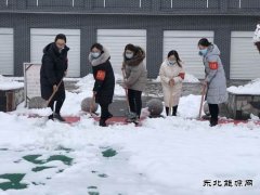蒲白矿业技校联合党委：党员除雪当先锋 志愿服务打头阵