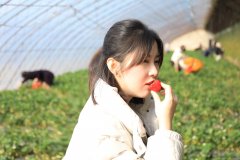 大唐辽宁新完美体育事业部：开展“情暖大唐，热爱生活”主题采摘活动