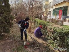 蒲白中心社区：用责任和担当“扮靓”矿区容颜