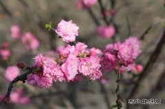 涌鑫矿业公司：最是一年好时光