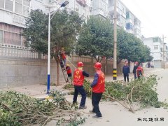 蒲白马南社区：修树剪枝解民忧 小区颜值靓起来