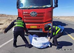 阿勒泰执法支队：Ｖ捶ù蠖蛹比褐谥保褐谂庞墙饽