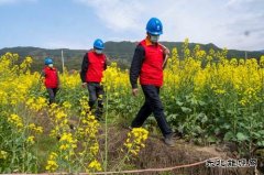 江西婺源：全力“战疫”保春耕生产供电