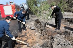 潞宁公司开展植树志愿服务活动