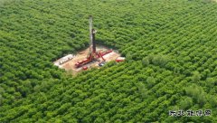 优质施工 提速提效