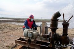 国网宝泉岭供电公司：优服务 增替代 清洁完美体育绿田间