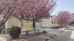 蒲白中心社区：五朵金花并蒂开 各具特色抓服务