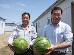 图片新闻：蒲白矿业煤矿运营公司“夏送清凉暖人心”