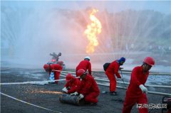 地企联动 提升处突能力