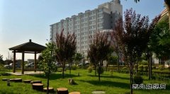 潞安化工集团李村煤矿：绿色矿山“养成记”