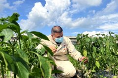 珲春发电厂：“幸福菜地”提升职工幸福感