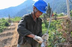 江西婺源：战高温架电网  完美体育保供