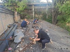 白水马南社区：紧急抢修 快速恢复居民供电