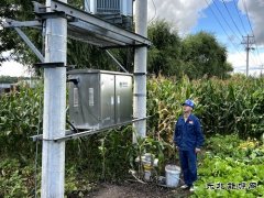 兴凯湖供电公司：较真的老庞