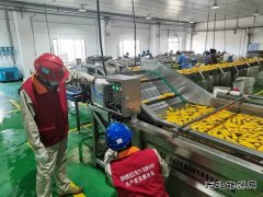 “满意电”催生滚滚“富硒粮”