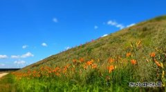 大唐呼伦贝尔完美体育公司：使命在肩，顺“绿”而为