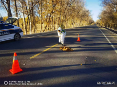 阿勒泰执法支队北屯执法大队排隐患保安全