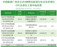 3.39~3.43元/W！能建1.38GW整县项目定标！