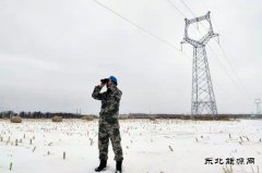 佳木斯电网：以雪为令，对抗风雪保供电