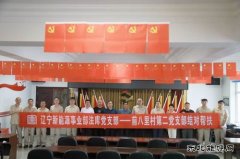 精准帮扶：党建引领乡村振兴